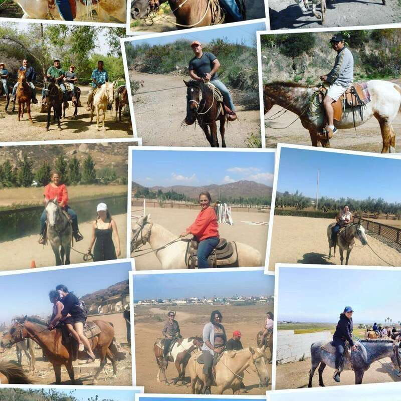 ensenada-punta-banda-horseback-riding-tour