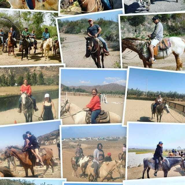 ensenada-punta-banda-horseback-riding-tour