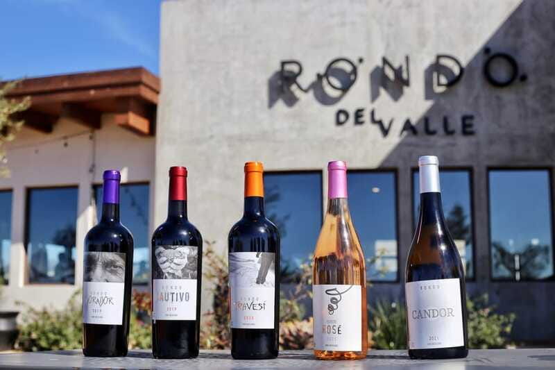 ensenada-rondo-del-valley-winery-tour-with-5-tastings