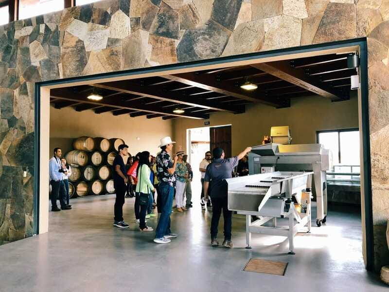 ensenada-rondo-del-valley-winery-tour-with-5-tastings