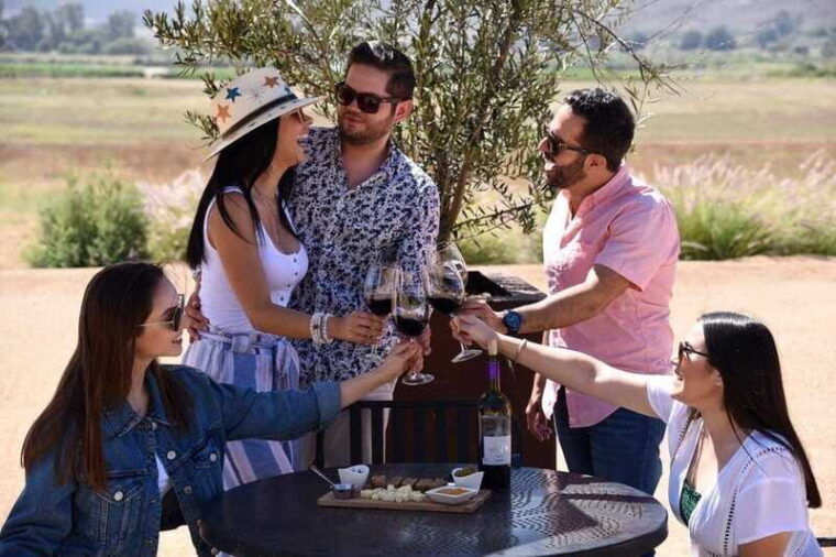 ensenada-rondo-del-valley-winery-tour-with-5-tastings