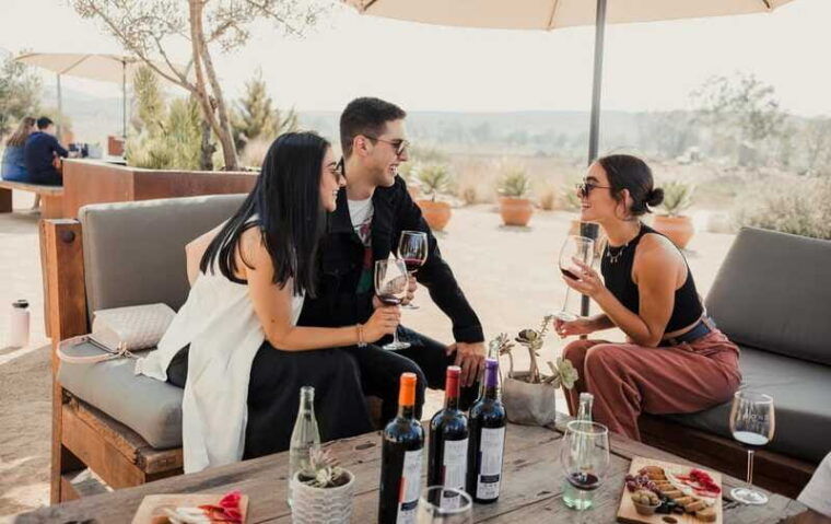 ensenada-rondo-del-valley-winery-tour-with-5-tastings
