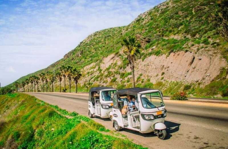 Ensenada: Street Gourmet Tour with Tacos and Drinks - An In-Depth Look at the Ensenada Street Gourmet Tour  
