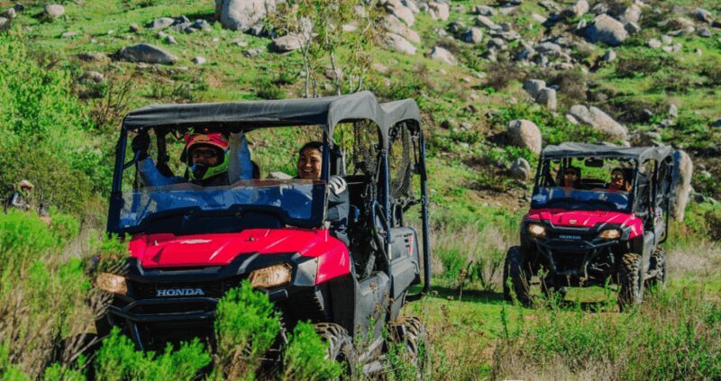 Ensenada: UTV Side by Side Rental - Authentic Tips from Past Participants