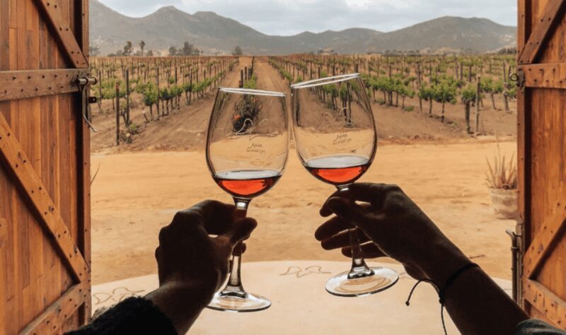 Ensenada: Valle de Guadalupe Wine Tasting Tour - An In-Depth Look at the Valle de Guadalupe Wine Tasting Tour