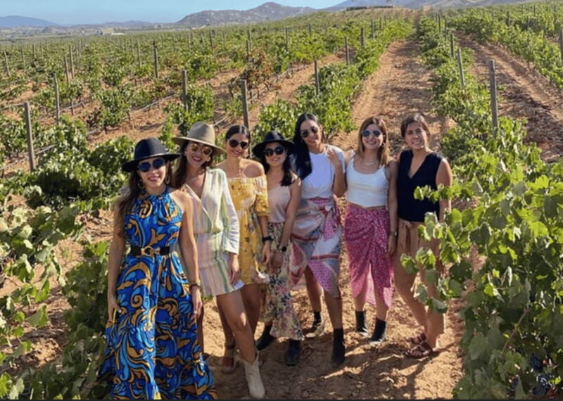 Ensenada: Valle de Guadalupe Wine Tasting Tour - Who Is This Tour Best For?