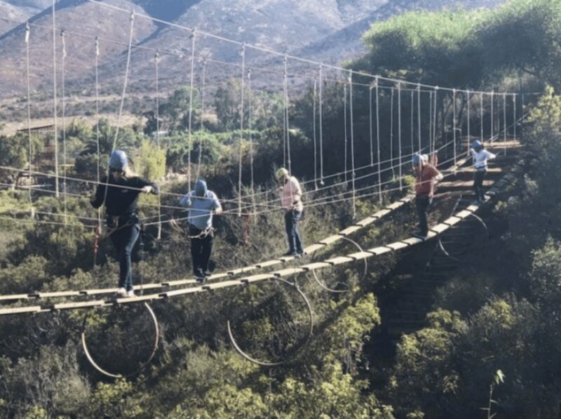Ensenada: Zipline and Hanging Bridges at Las Cañadas - Authentic Experiences and Insights from Reviews