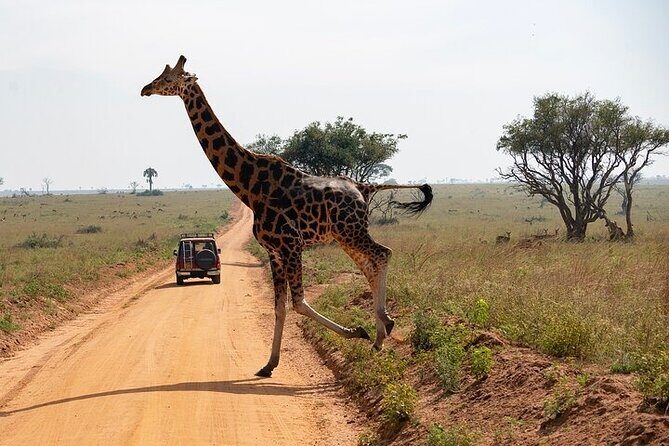 Entebbe Airport pickup (Entebbe - Kampala) reliable 24/7 transfer - The Sum Up