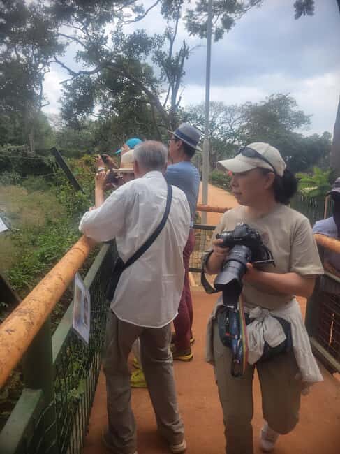 Entebbe: Female-Led Guided Walking Tour - Key Points