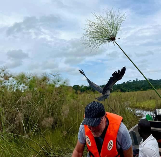 Entebbe: Mabamba Swamp Shoebill Tracking Boat Tour - Key Points