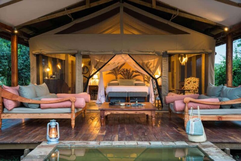 Entebbe: Queen Elizabeth National Park Luxury Safari - Who Should Consider This Tour?