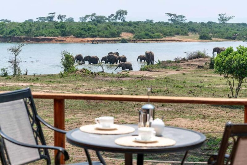 Entebbe: Queen Elizabeth National Park Luxury Safari - The Sum Up