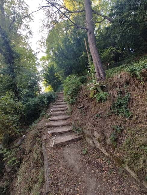 Enter the painting, touch the roots and go back in time ! - An In-Depth Look at the Experience