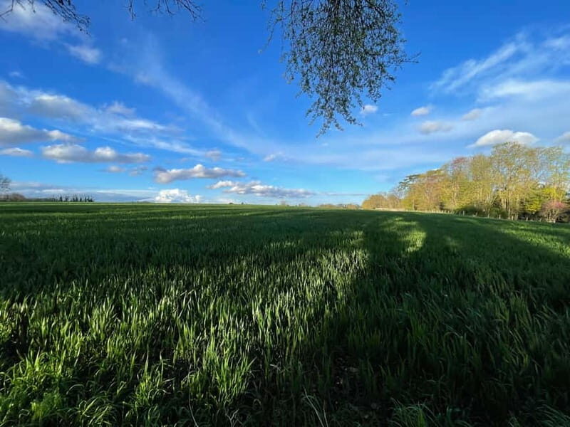 Enter the painting, touch the roots and go back in time ! - Final Thoughts