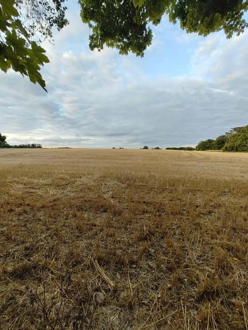 Enter the painting, touch the roots and go back in time ! - FAQ