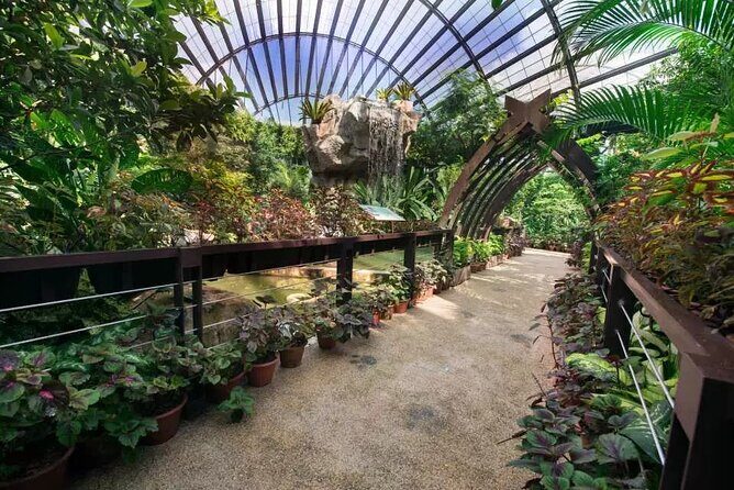 Entopia Butterfly and Nature Discovery Park Entry Ticket Penang - Exploring the Magic of Entopia Butterfly and Nature Discovery Park in Penang