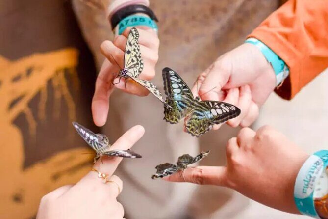 Entopia Butterfly and Nature Discovery Park Entry Ticket Penang - Who Will Love This Experience?