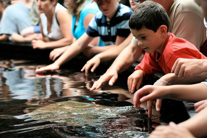entrance-ticket-nausicaa-the-biggest-aquarium-in-europe