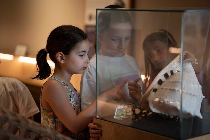 Entrance Ticket to World of Seashells museum - Value for Money and Practical Tips
