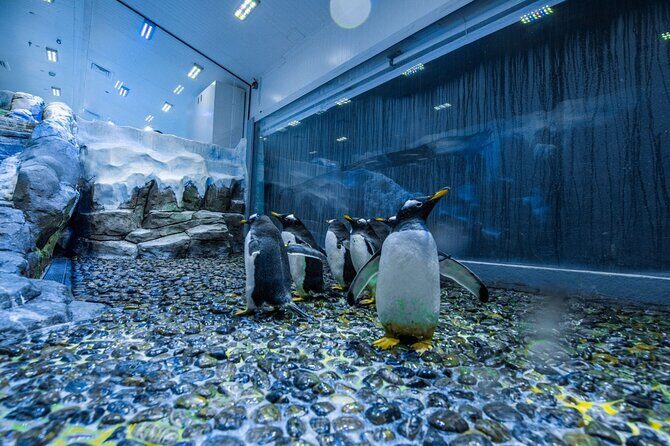 Entrance to Dubai Aquarium and Underwater Zoo - The Bottom Line