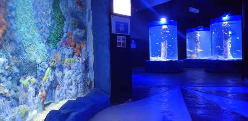 Entry Ticket: Grand Aquarium Hurgada - Practical Details for Visitors