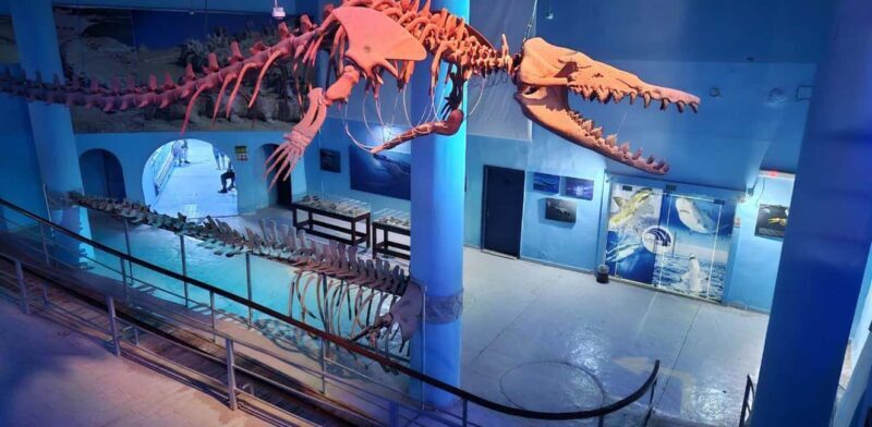 Entry Ticket: Grand Aquarium Hurgada - FAQs