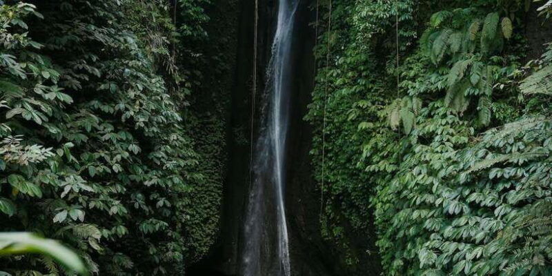 entry-ticket-includes-bratan-handara-jatiluwih-leke-leke