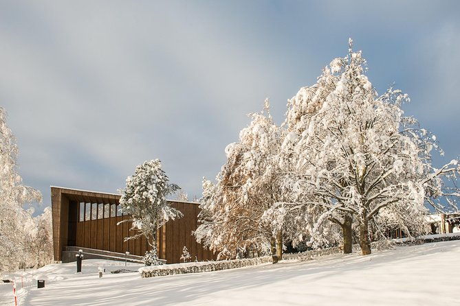 entry-ticket-to-amazing-serlachius-in-tampere-region-2