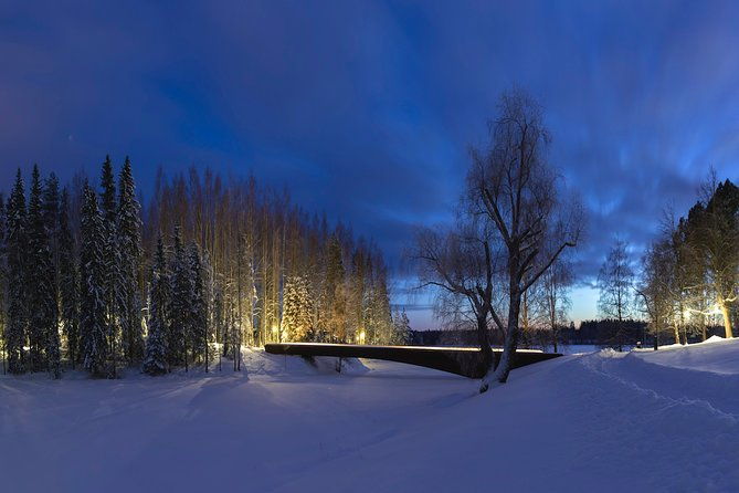 entry-to-the-amazing-serlachius-museums-in-the-tampere-region-2