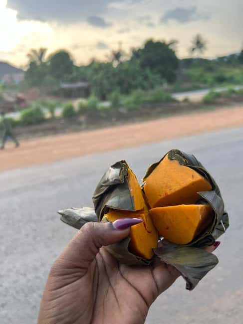 Enugu: City Tour with Ngwo Pine Forest and Waterfall - Key Points
