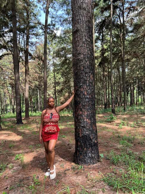 Enugu: City Tour with Ngwo Pine Forest and Waterfall - The Sum Up