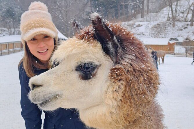 Eobi Ice Valley & Nami Island & Alpaca World & Morning Calm - Discover Seoul’s Hidden Gems with the Eobi Ice Valley & Nami Island & Alpaca World & Morning Calm Tour