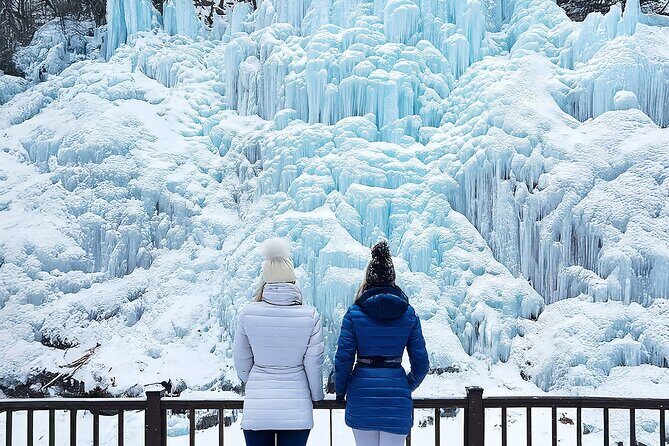 Eobi Ice Valley & Nami Island & Alpaca World & Morning Calm - A Detailed Look at the Tour Experience