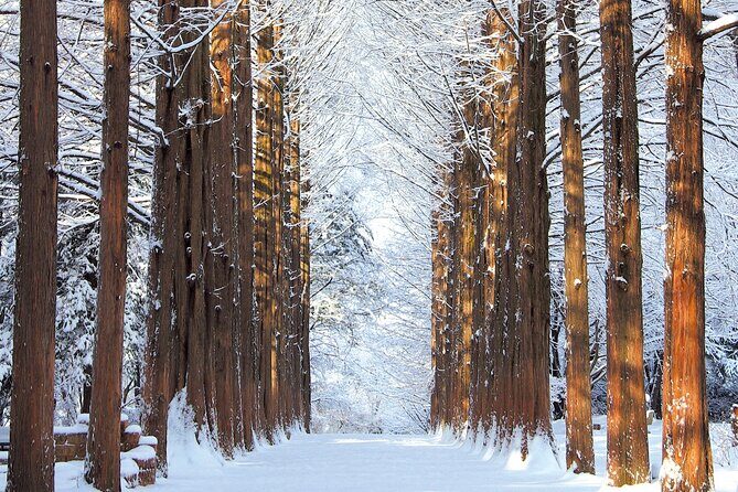 Eobi Ice Valley Nami Island and Alpaca World Tour from Seoul - What You Can Expect from This Full-Day Tour