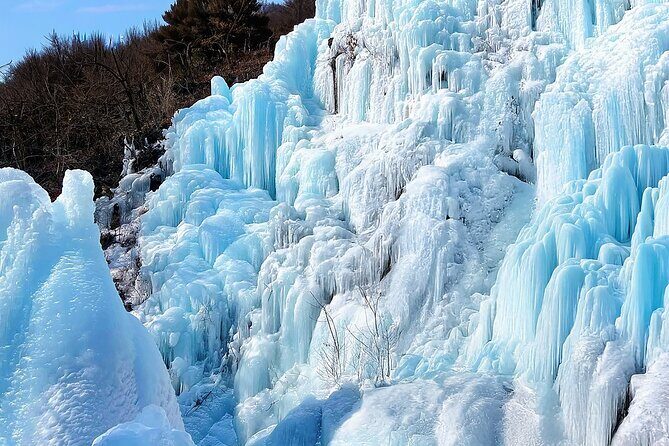 Eobi Ice Valley Nami Island and Alpaca World Tour from Seoul - Final Thoughts: Who Will Love This Tour?