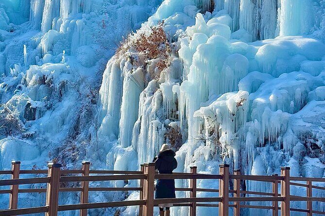 Eobi Ice Valley, Nami Island and Petite France tour in Seoul - A Closer Look at the Itinerary