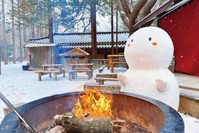 Eobi Ice Valley, Nami Island and Petite France tour in Seoul - FAQs