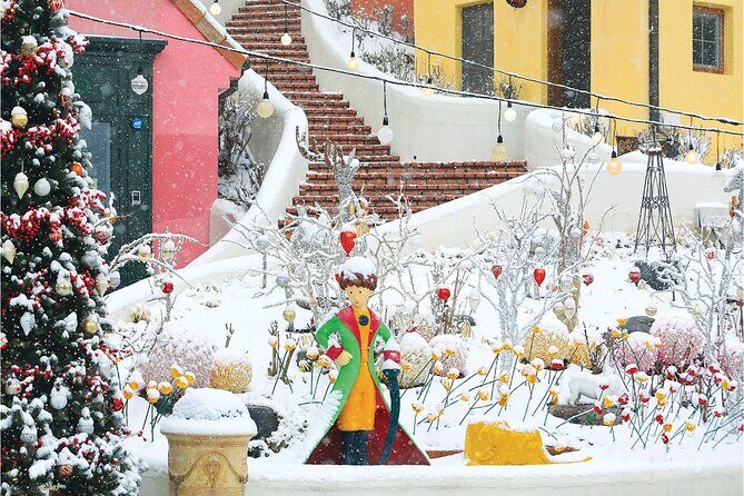 Eobi Ice Valley, Nami Island, Petite France and Morning Calm Tour - Key Points