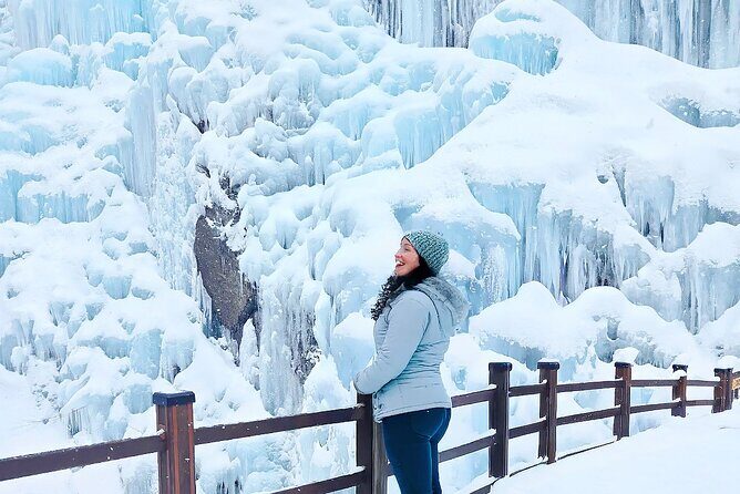 Eobi Ice Valley, Nami Island, Petite France and Morning Calm Tour - Final Thoughts