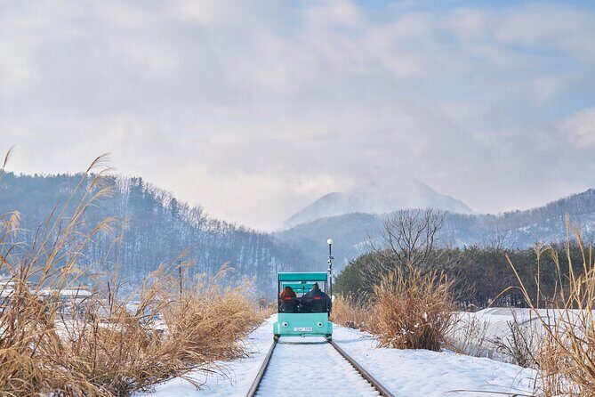 Eobi Ice Valley, Nami Island & Railbike from Seoul (opt. Garden) - Exploring Korea’s Winter Wonders: A Detailed Look at the Tour