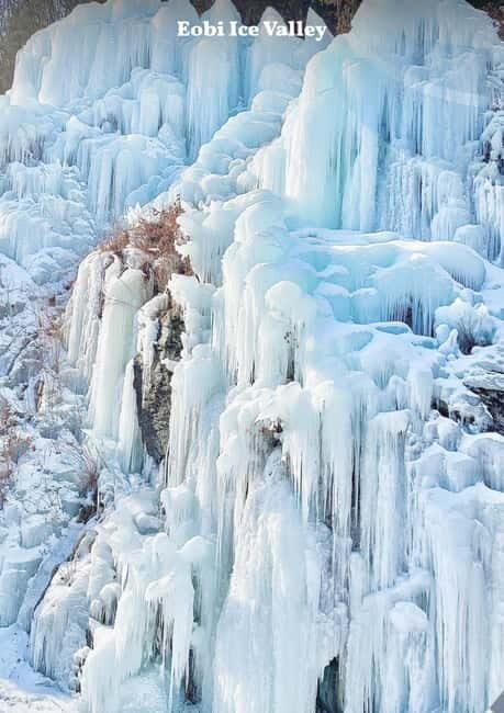 Eobi Ice Valley & Nami (+ Light Festival, Railbike, Alpaca) - Exploring Korea’s Hidden Winter Treasures: Eobi Ice Valley & Nami Island Tour Review