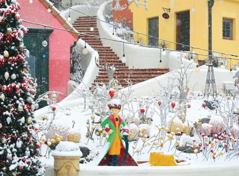 Eobi Ice Valley & Nami (+ Light Festival, Railbike, Alpaca) - FAQ