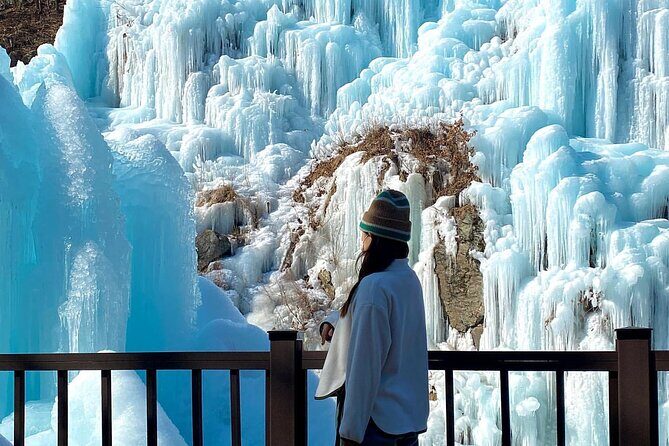 Eobi Ice Wall & Nami Island & Morning Calm Light Festival - Key Points