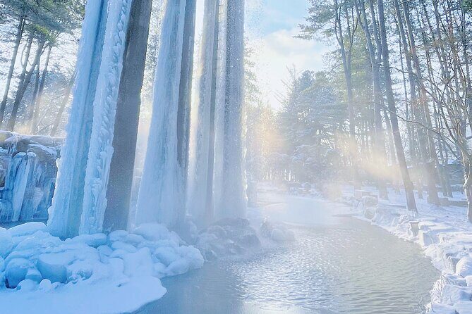 Eobi Ice Wall & Nami Island & Morning Calm Light Festival - Authentic Insights from Past Travelers