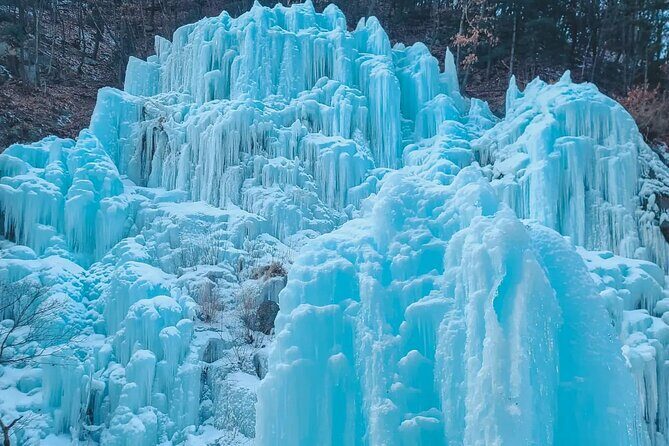 Eobi Ice Wall & Nami Island & Morning Calm Light Festival - The Sum Up