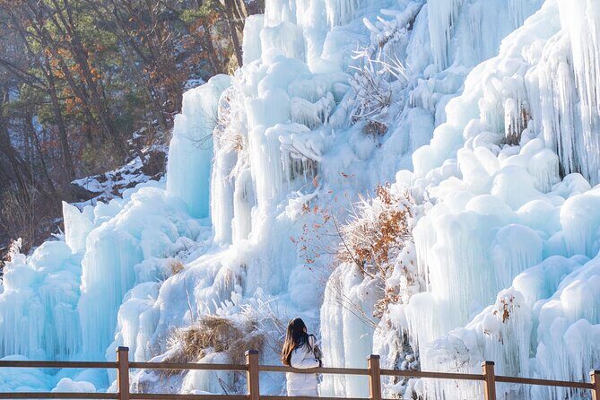 Eobi Valley, Alpaca World, Nami Island, Railbike/Garden fr Seoul - Key Points