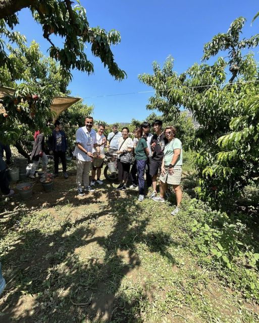 ephesus-full-day-tour-from-kusadasi-or-selcuk