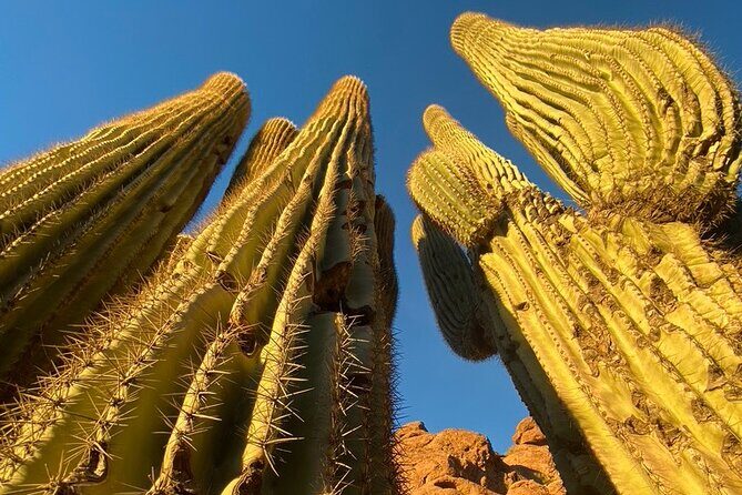 Epic Camelback Mountain Guided Hiking Adventure in Phoenix, Arizona - The Value of a Guided Hike in Phoenix