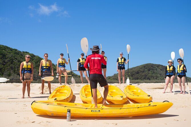 Epic Kayak With Dolphins & Wildlife - 4WD Beach Adventure Noosa - How the Tour Balances Adventure and Relaxation