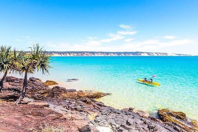Epic Kayak With Dolphins & Wildlife - 4WD Beach Adventure Noosa - Pricing & Value: Is It Worth It?
